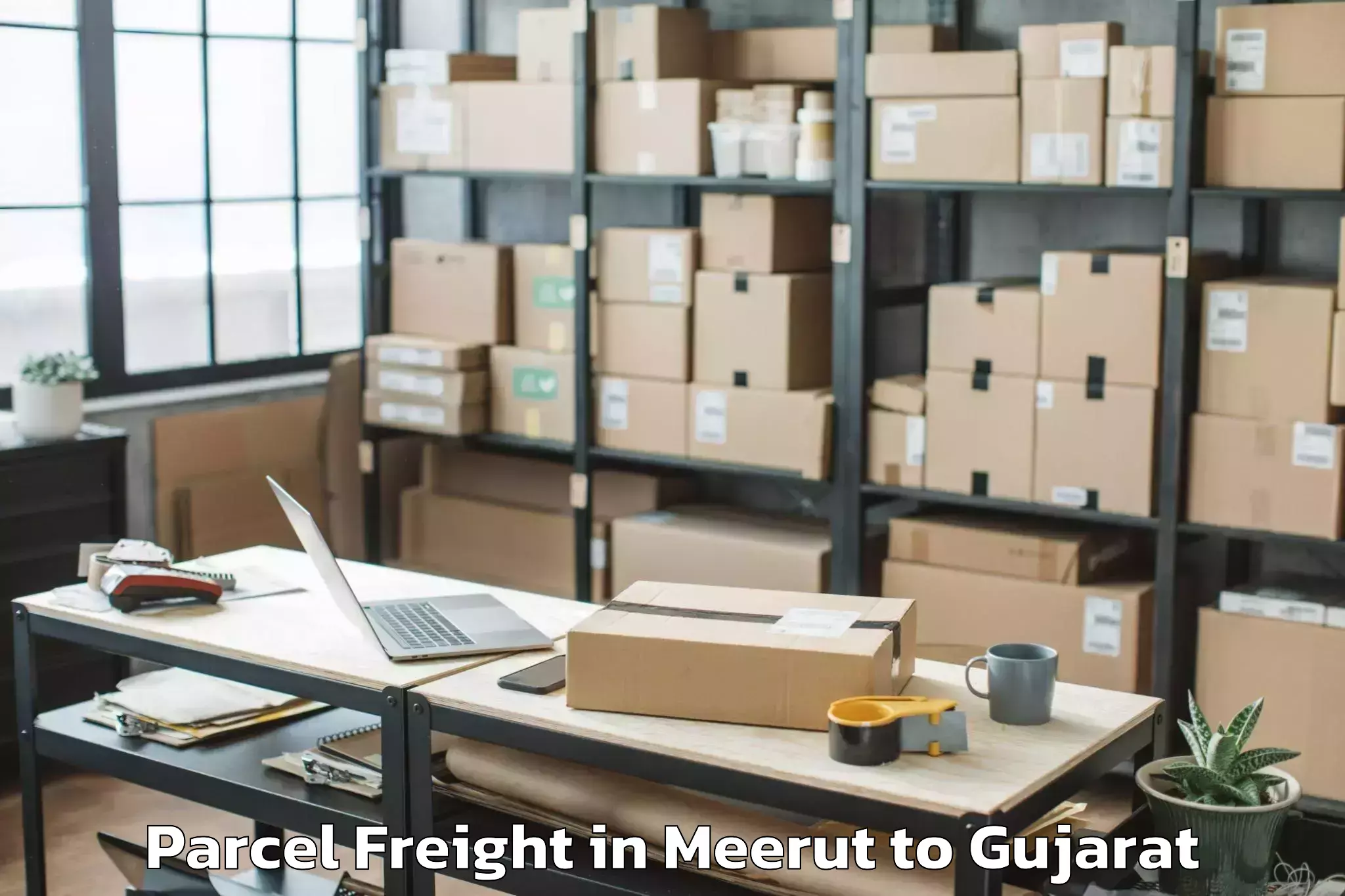 Easy Meerut to Childrens University Gandhinag Parcel Freight Booking